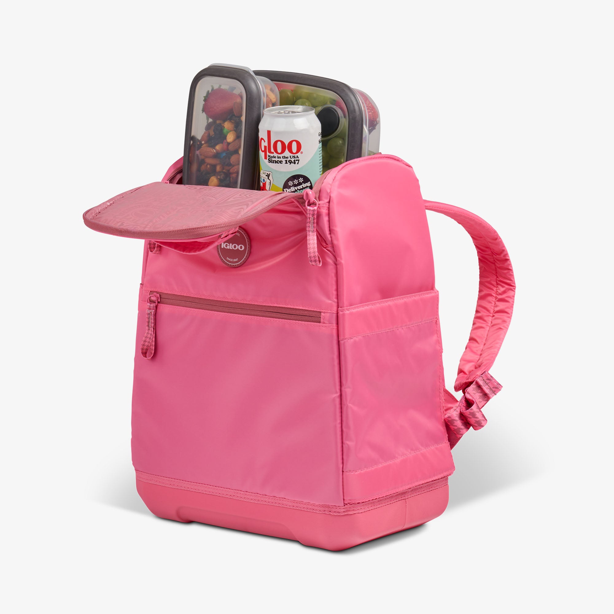 Tag Along Too 30-Can Backpack - Image 3